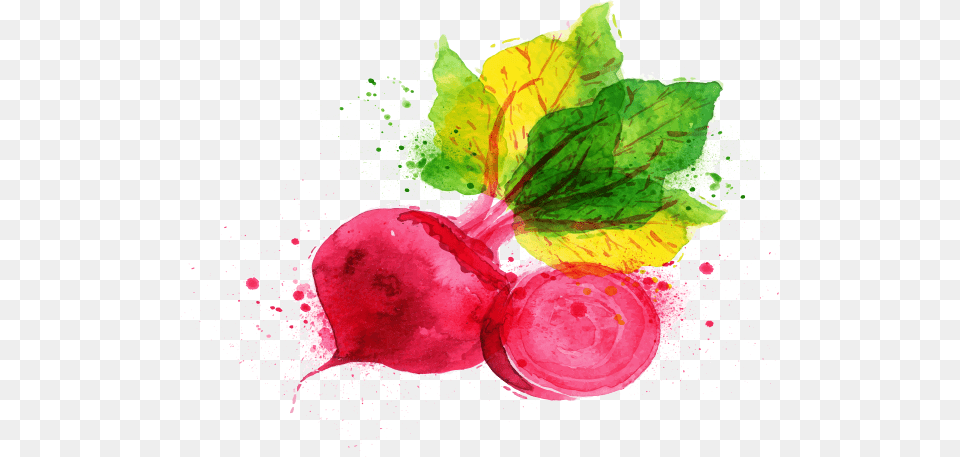 Quantity Per 100 G Vegetable Logo Paint, Food, Produce, Plant, Radish Png Image