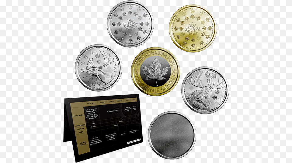 Quarter, Silver, Disk, Coin, Money Png