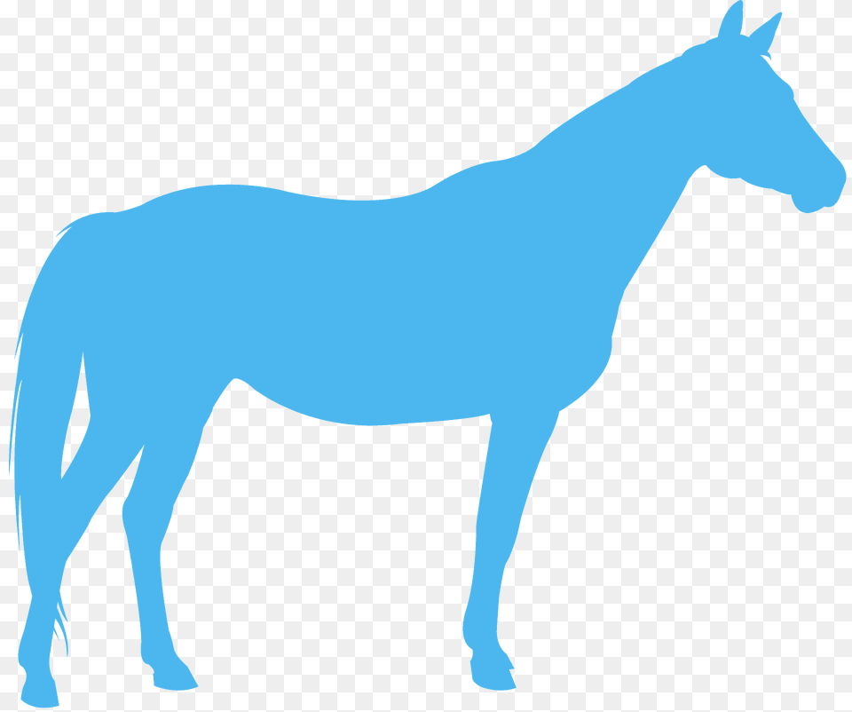 Quarter Horse Silhouette, Animal, Mammal, Colt Horse Png Image