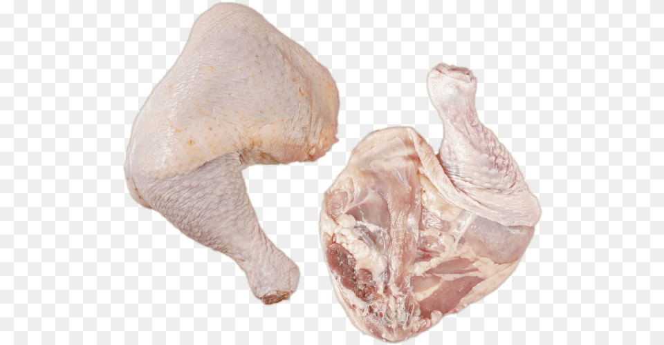 Quarter Leg, Fungus, Plant, Animal, Bird Png Image