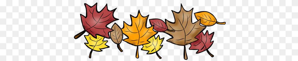 Quarter News, Leaf, Plant, Tree, Maple Leaf Png Image