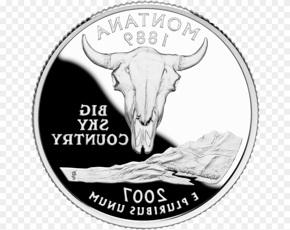 Quarters Bull, Silver, Animal, Cattle, Cow Png Image