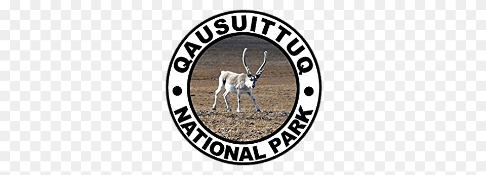 Quasuittuq National Park Round Sticker, Animal, Antelope, Mammal, Wildlife Png