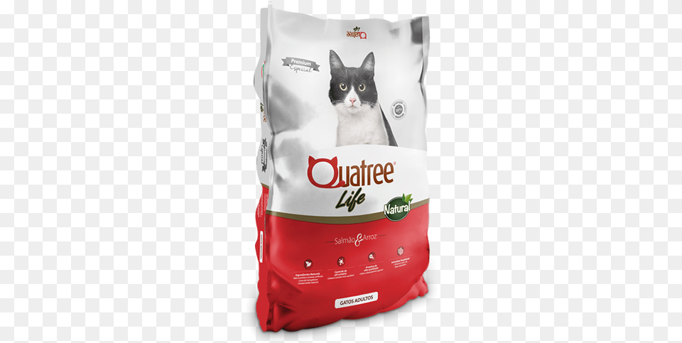 Quatree Para Gatos Quatree, Bag, Cushion, Home Decor, Animal Png Image