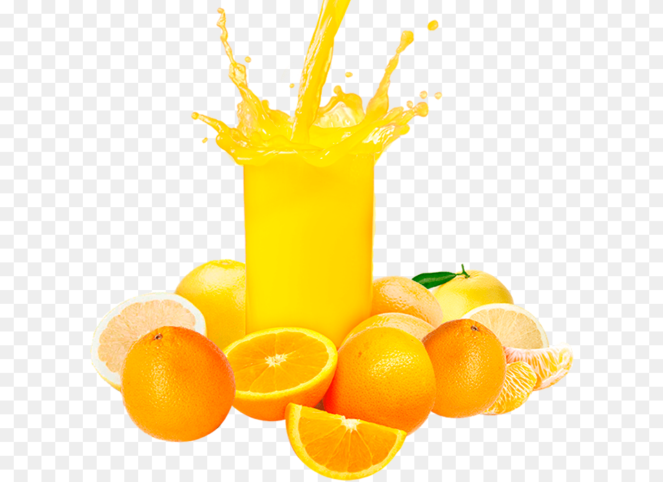 Quattro, Beverage, Juice, Orange Juice, Citrus Fruit Png Image
