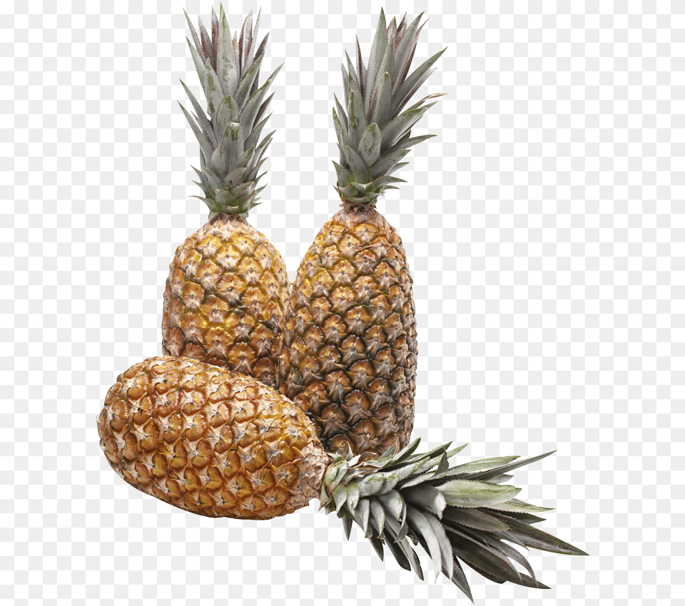 Que Tal Fazer Um Ch Gelado De Abacaxi Com Gengibre Pineapple, Food, Fruit, Plant, Produce Png