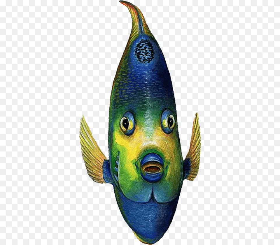 Queen Angelfish Front View Sea Life Wall Decal Sticker, Animal, Fish, Sea Life Free Png