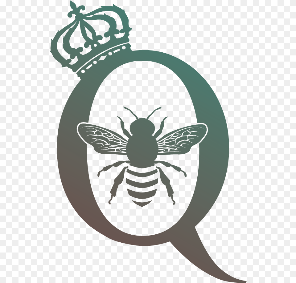 Queen Bee Bee Vector Black And White, Wasp, Invertebrate, Insect, Animal Png