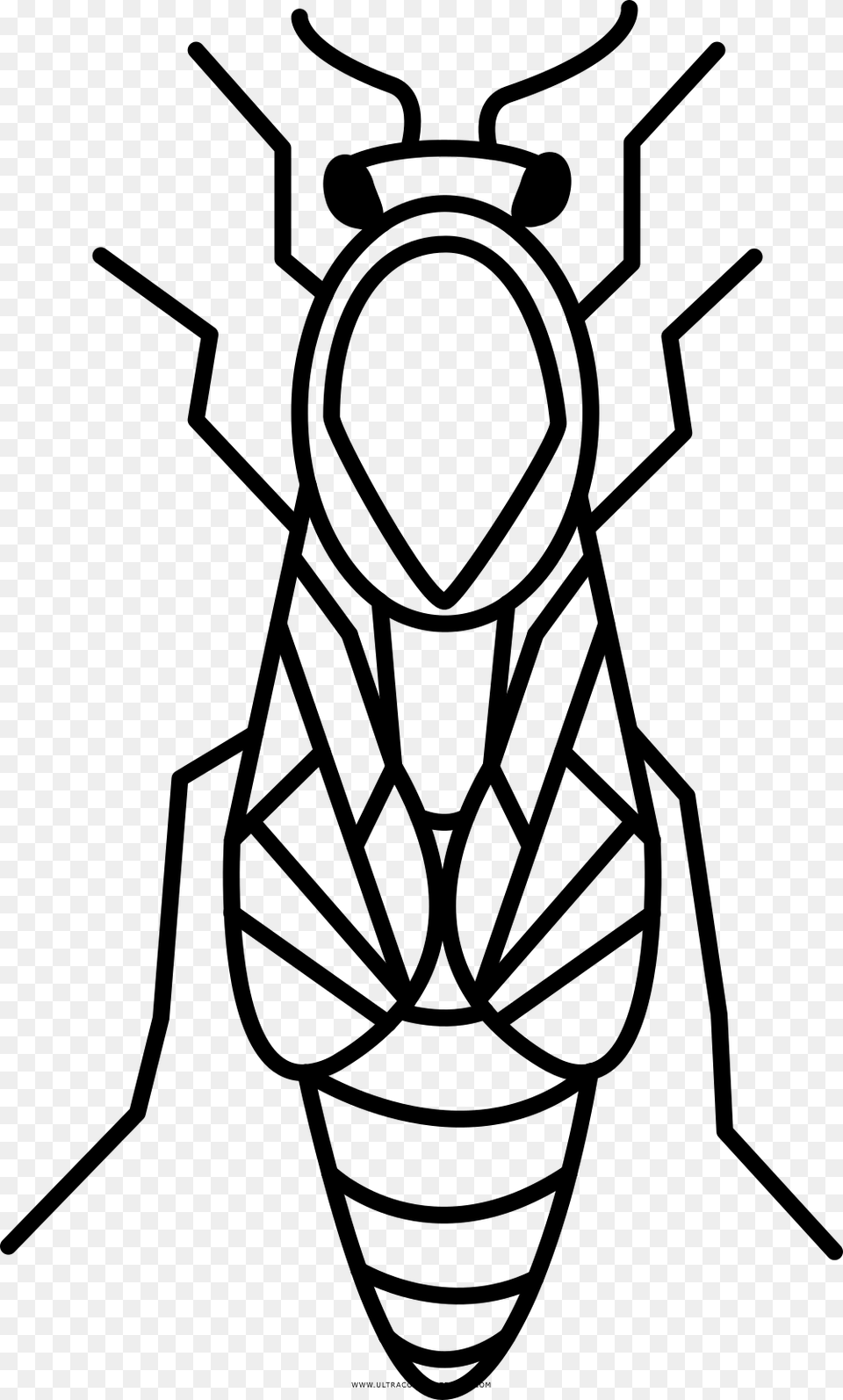 Queen Bee Coloring, Gray Png