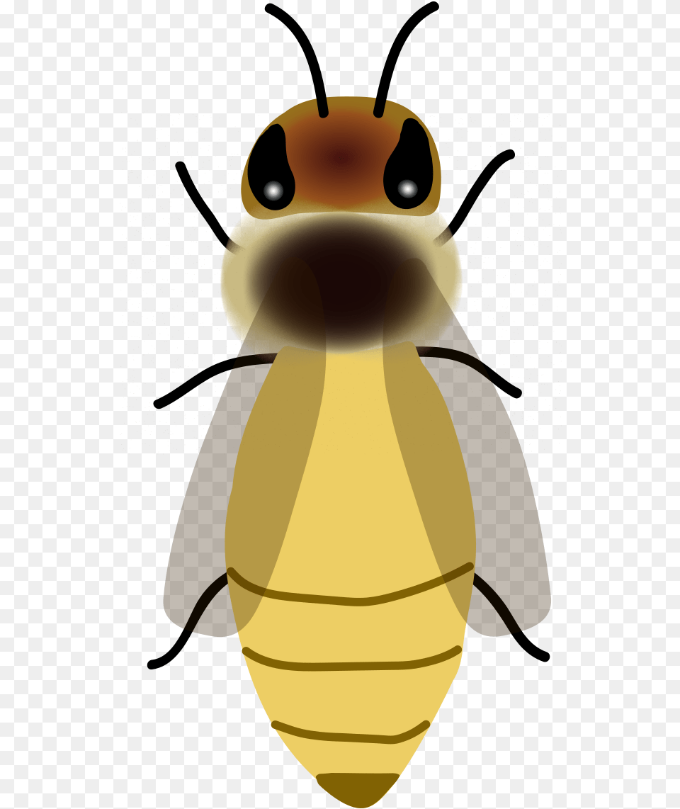 Queen Bee Queen Bee Vector Svg, Animal, Honey Bee, Insect, Invertebrate Free Transparent Png