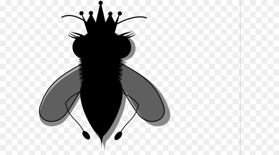 Queen Bumble Bee Hd Transparent Image Illustration, Animal, Insect, Invertebrate, Wasp Png