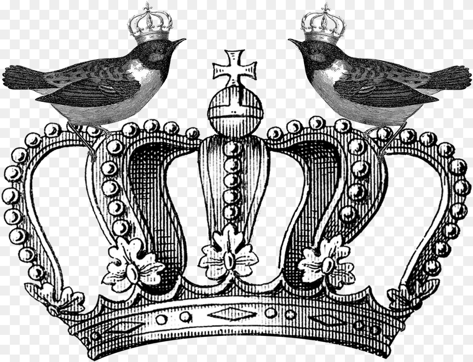 Queen Crown Crown Vintage, Accessories, Jewelry, Bird, Animal Png Image