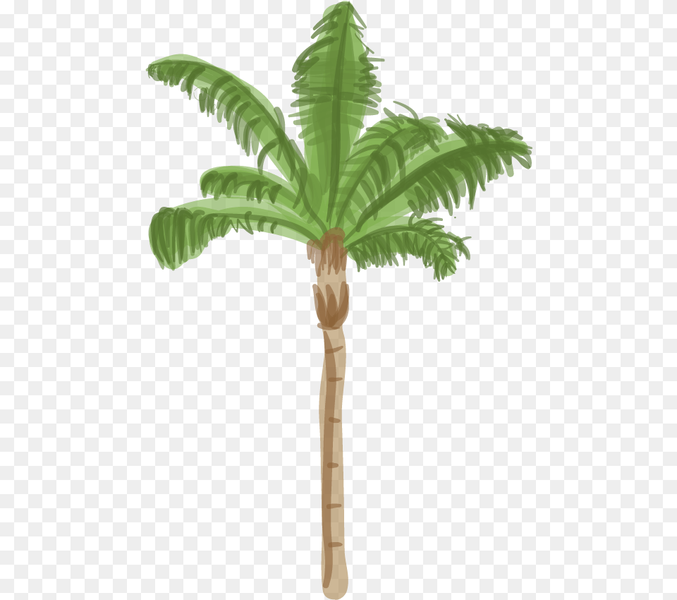 Queen Palm Tree Drawing, Palm Tree, Plant, Cross, Symbol Png Image