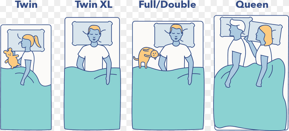Queen Size Bed Dimensions Queen Vs Full Size, Book, Comics, Publication, Baby Png Image