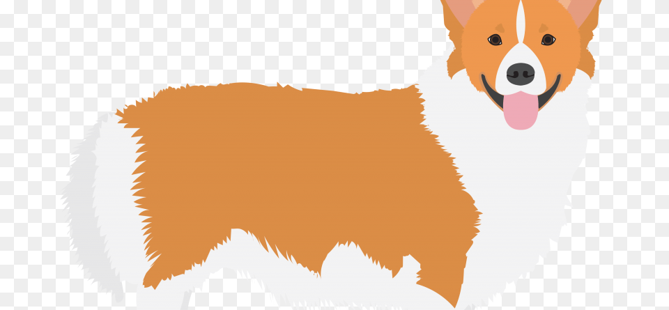 Queens Corgi Off, Animal, Canine, Collie, Dog Free Png