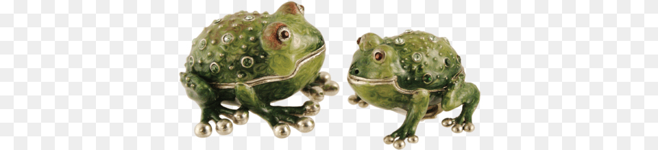 Quest Frog Salt Amp Pepper Shakers Item Ahuva Frog Salt Amp Pepper Shakers, Amphibian, Animal, Wildlife, Lizard Free Png Download