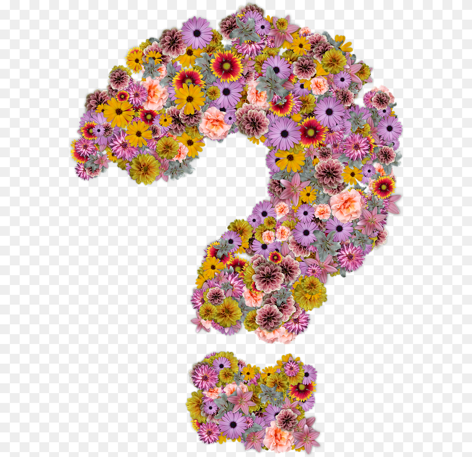 Question Mark Flowers Design On Pixabay Flower Question Mark, Art, Floral Design, Graphics, Pattern Free Transparent Png