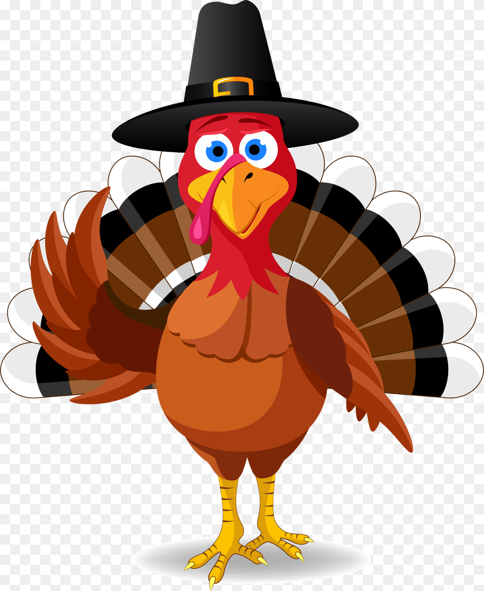 Questions Give Us A Call At Thanksgiving Turkey Poster, Clothing, Hat, Animal, Bird Png
