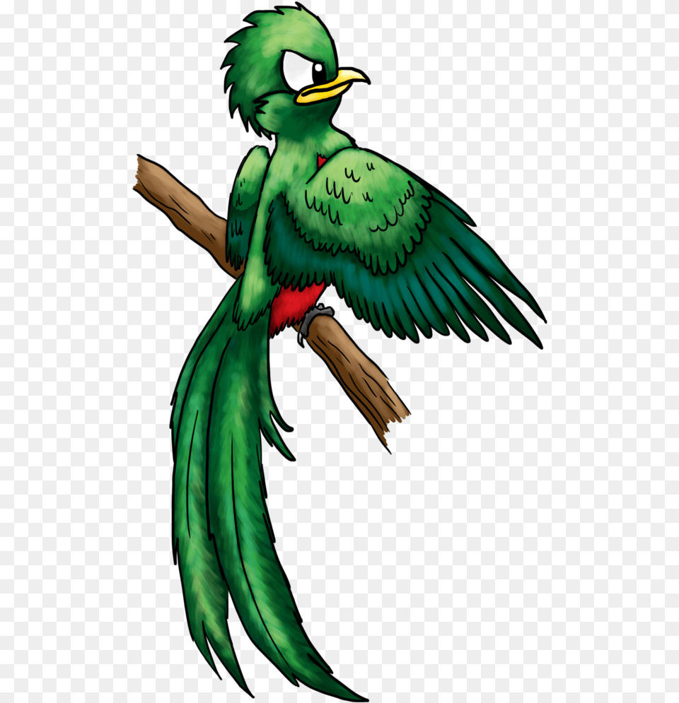Quetzal Angry Birds Transparent Quetzal Bird Drawing, Animal, Beak, Person Png