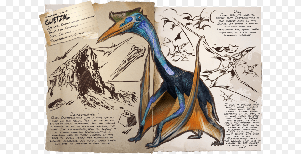 Quetzal Ark Biggest Flying Dino, Animal, Bird, Beak, Person Free Png