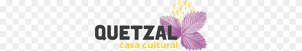 Quetzal Casa Cultural Rebranding Graphic Design, Flower, Plant, Leaf, Purple Png