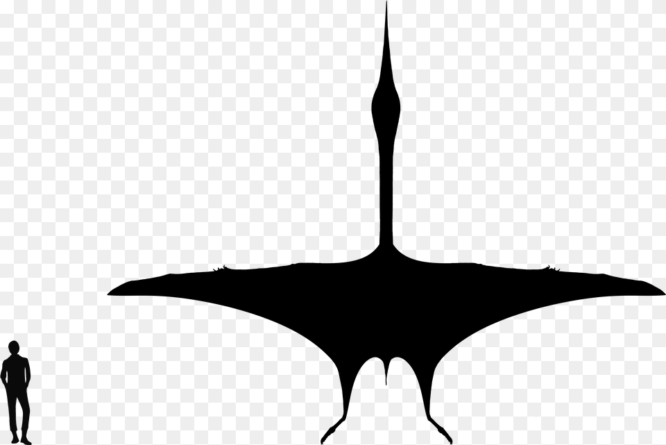 Quetzalcoatlus Silhouette, Person, Gray, Lighting, Art Free Png