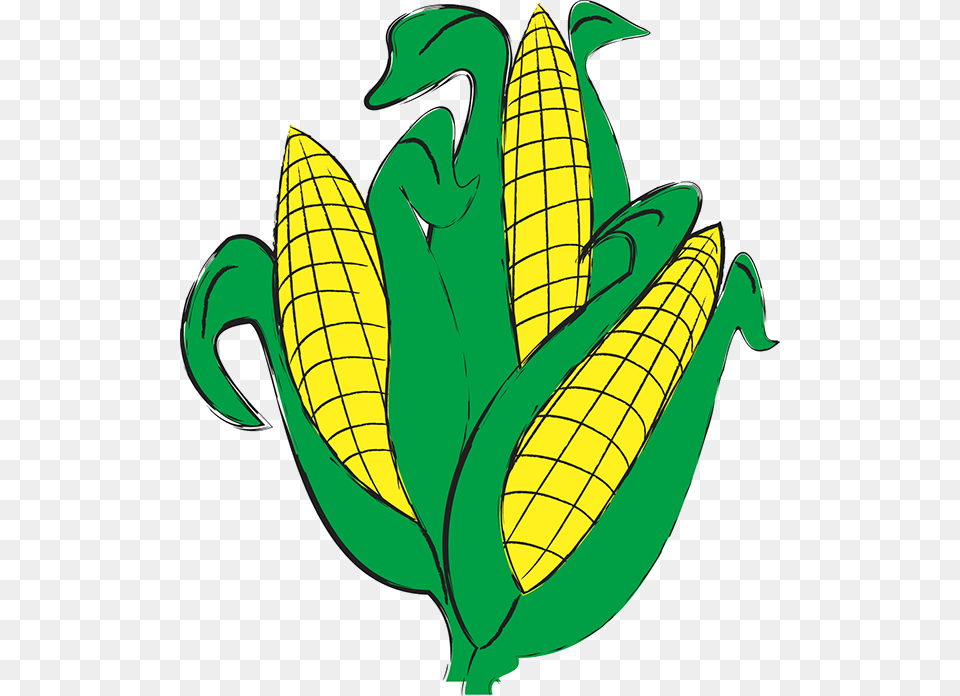 Quick Corn Illustration, Food, Grain, Plant, Produce Png