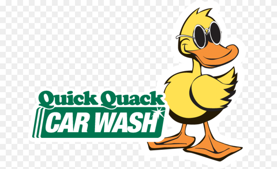 Quick Quack Car Wash Sticker Stop With Intern Kevin End Online, Baby, Person, Animal, Bird Free Png