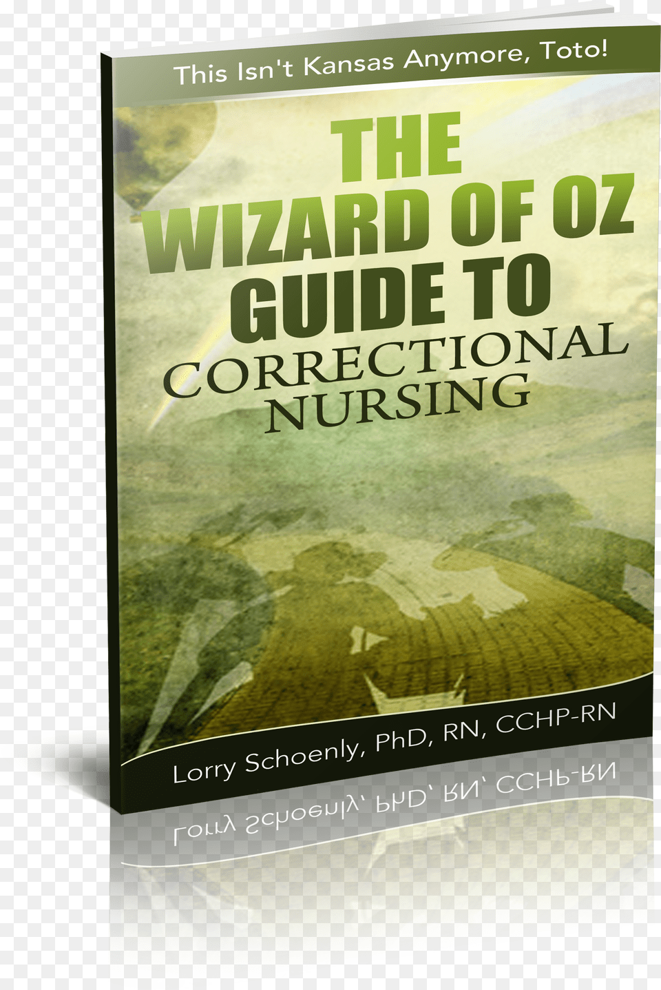 Quick Start For Correctional Nurses Vol Wizard Of Oz Guide To Correctional Nursing By Lorry Png