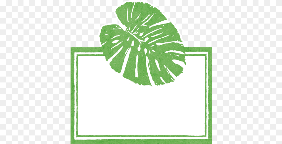 Quick View, Leaf, Plant, Herbal, Herbs Png Image