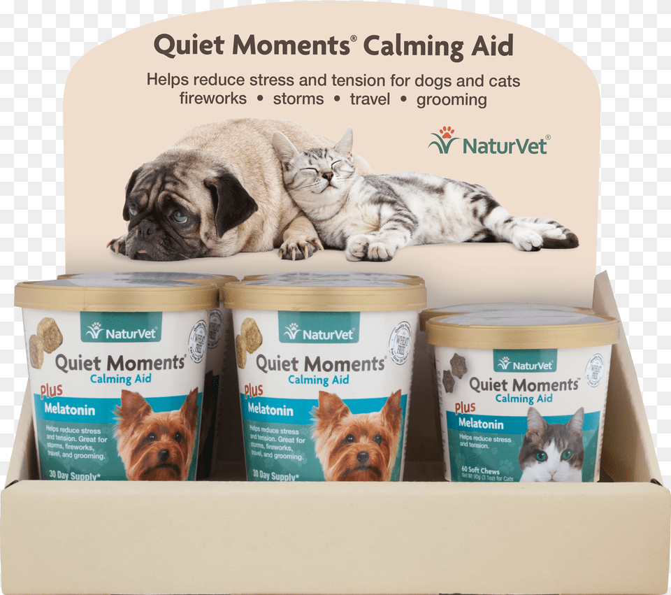 Quiet Moments 12quot Dogcat Soft Chew Countertop Display Pps Imaging Gmbh Leinwandbild Beste Freunde Panorama Free Png Download