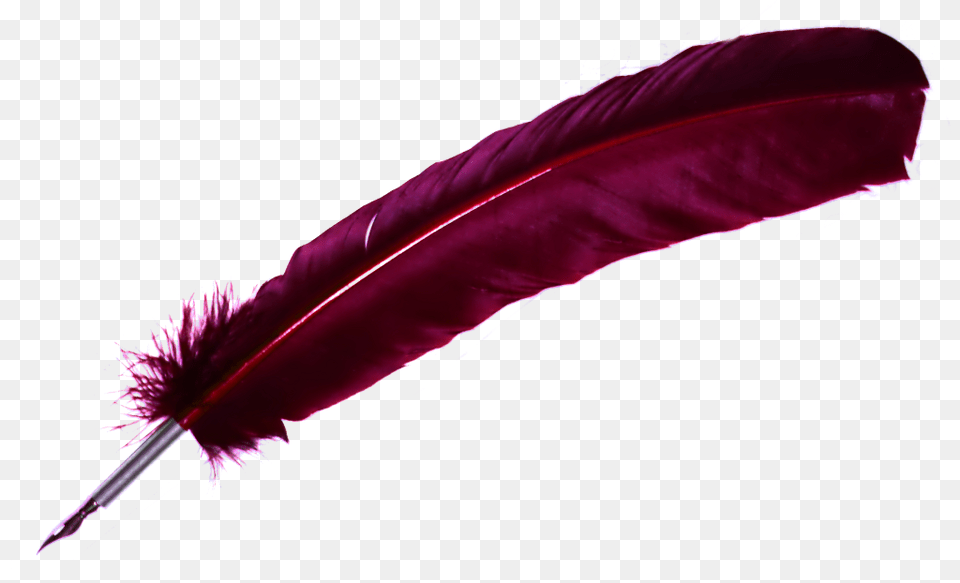 Quill, Purple, Bottle, Accessories, Person Free Transparent Png