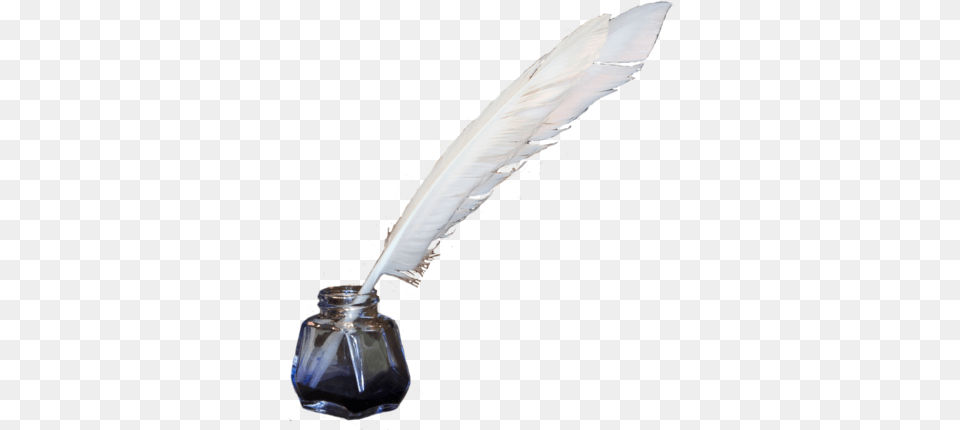 Quill Clipart Quill And Ink Harry Potter, Bottle, Ink Bottle, Animal, Bird Png Image
