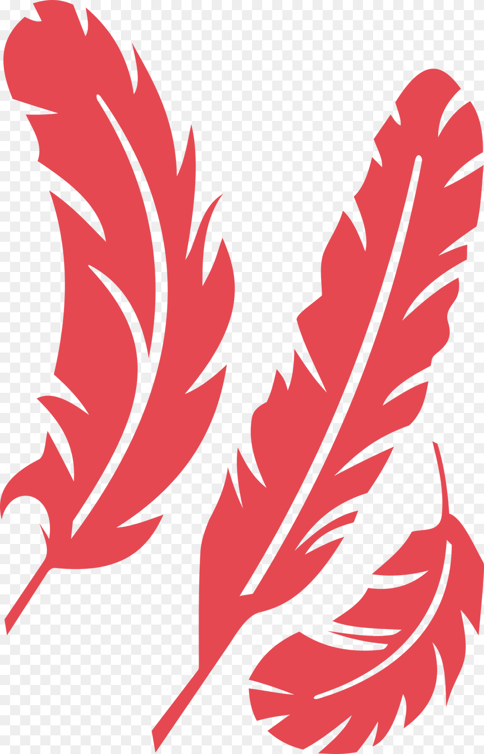 Quill Free Stock Red Feather Huge Freebie Download, Leaf, Plant, Person Png Image