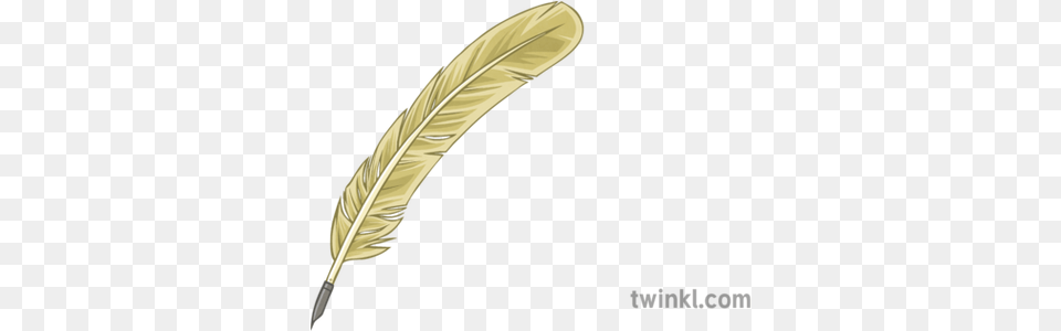 Quill Illustration Twinkl Calligraphy, Bottle, Racket, Sport, Tennis Free Transparent Png