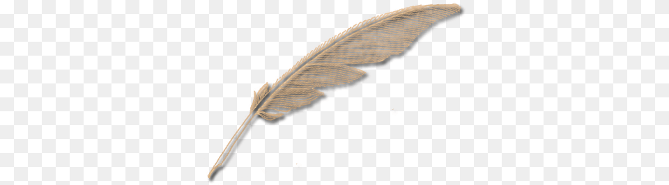 Quill Pen Feather, Leaf, Plant, Reed, Fern Free Png