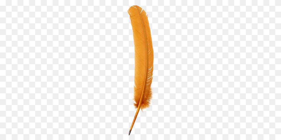 Quill Pen Gold, Bottle Free Transparent Png