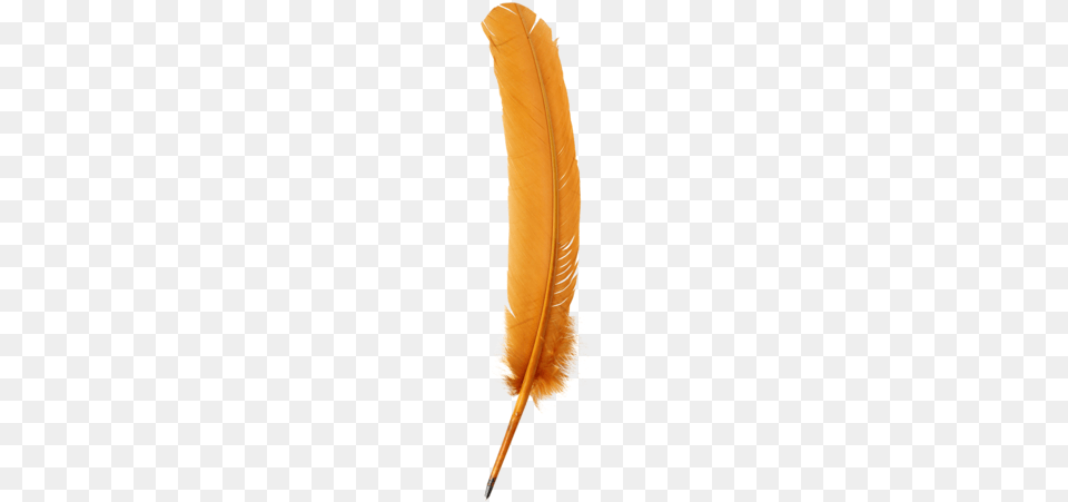 Quill Pen Gold Gold, Bottle Png