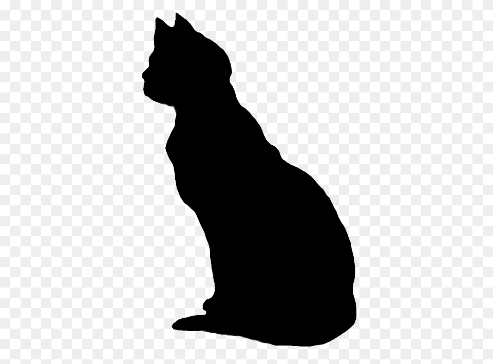 Quilt Blocks Cat Sketch Cat Drawing Art, Animal, Mammal, Pet, Silhouette Png Image