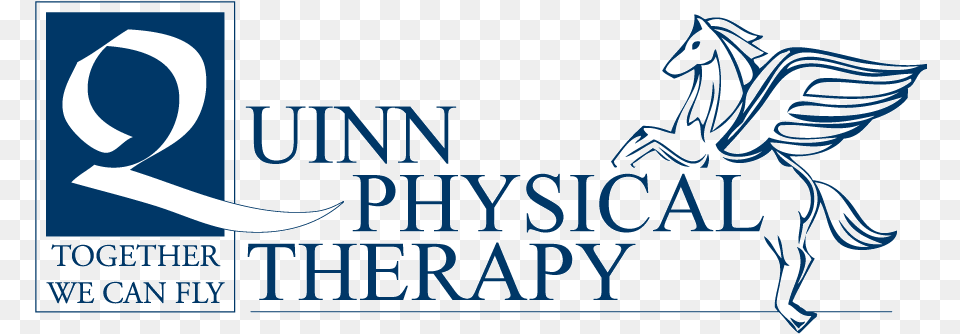 Quinn Physical Therapy Quinn Physical Therapy Logo, Text Free Png Download
