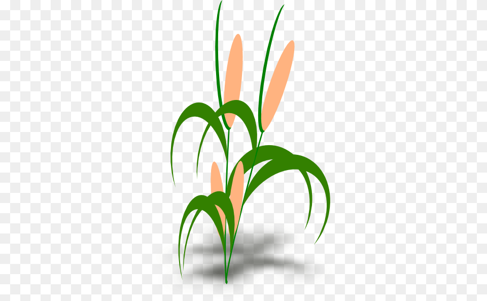 Quiparsmana Plant Clip Art, Flower, Flower Arrangement, Ikebana, Green Free Png