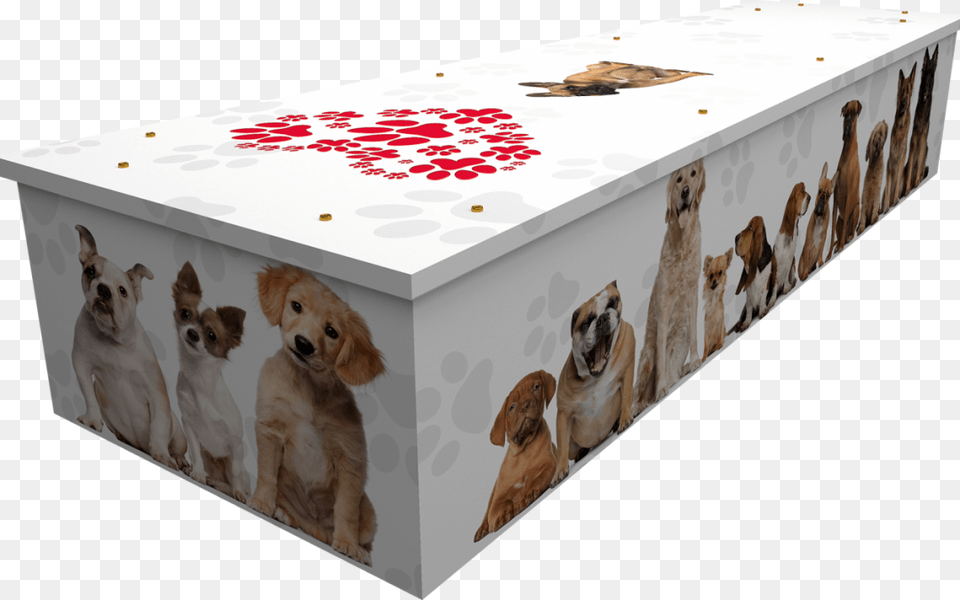 Quirky Coffin Designs Creative Coffin, Animal, Canine, Dog, Mammal Free Png Download