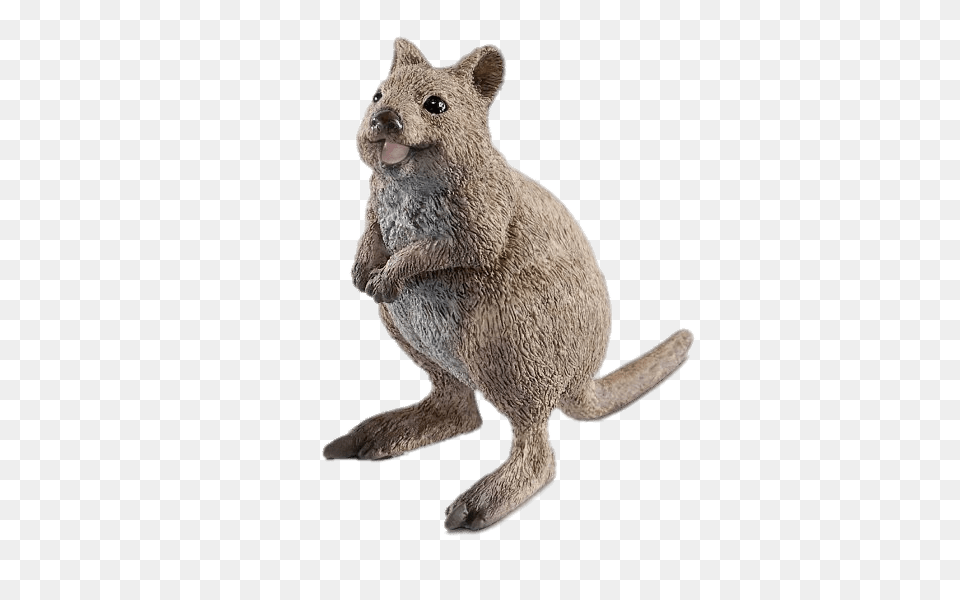 Quokka Figurine, Animal, Kangaroo, Mammal, Rodent Free Png Download