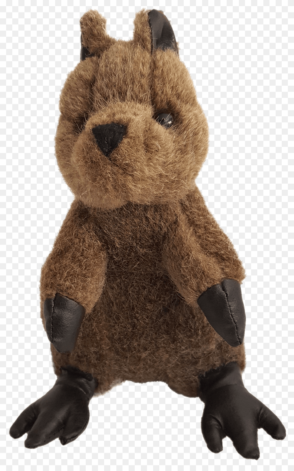Quokka Plush Animal, Toy, Bear, Mammal, Wildlife Free Png