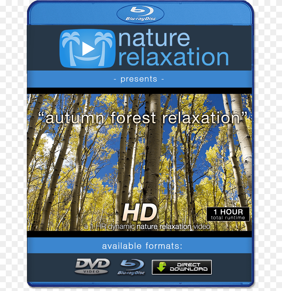 Quotautumn Forest Relaxationquot Hd Relaxation Video 1 Hr, Plant, Tree, Advertisement, Vegetation Png