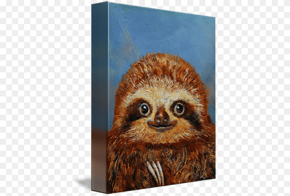 Quotbaby Slothquot By Michael Creese Imagekind Canvas Print, Animal, Bird, Mammal, Wildlife Png