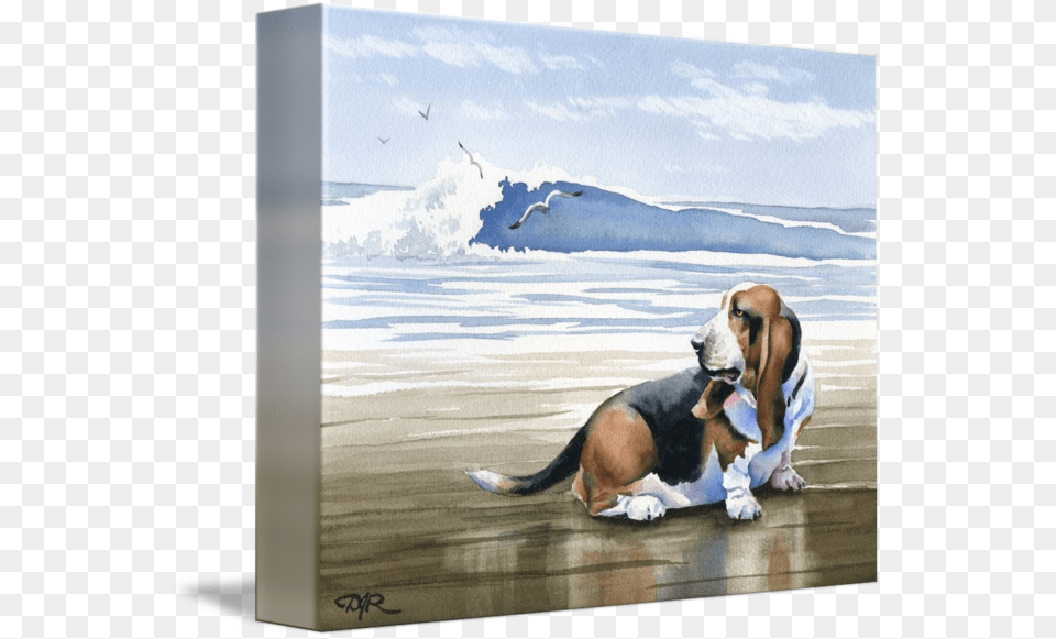 Quotbasset Hound At The Beachquot By David Rogers Basset Hound, Animal, Canine, Dog, Mammal Free Png Download