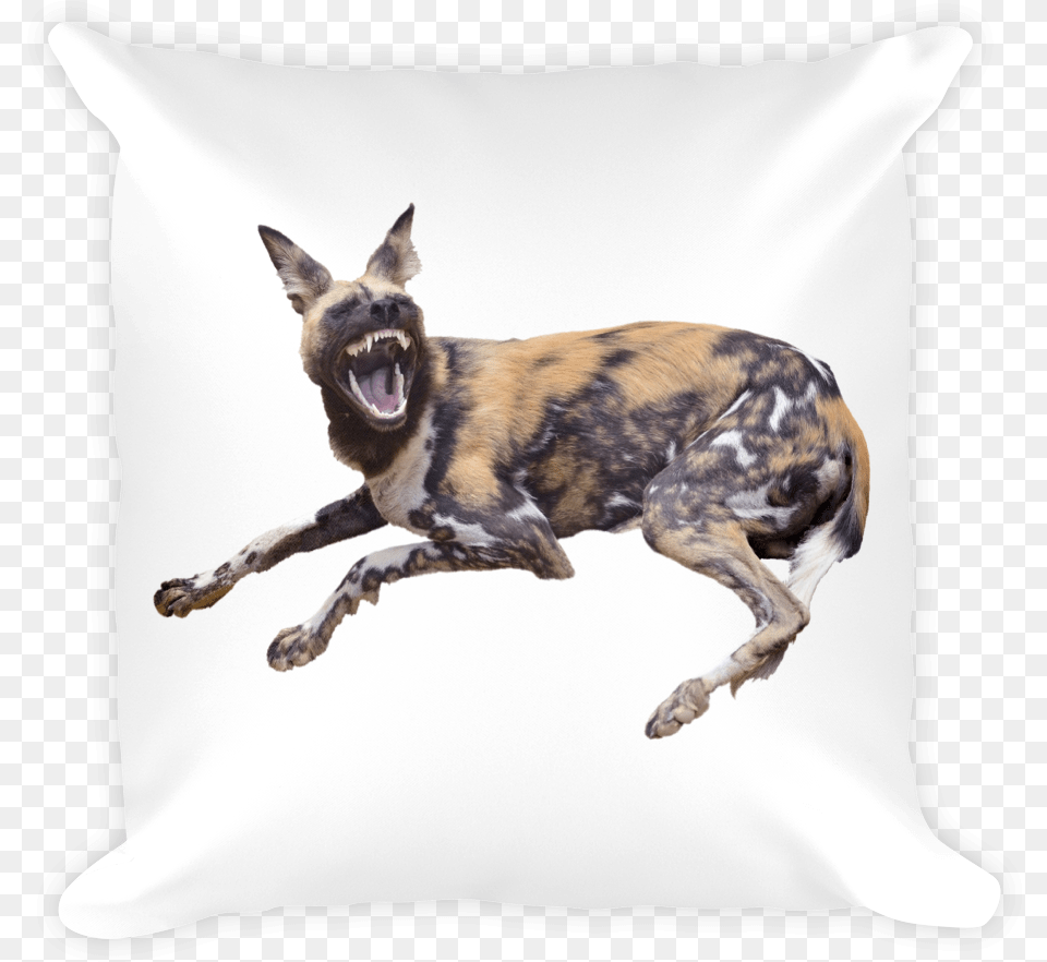 Quotclassquotlazyload Lazyload Mirage Cloudzoom Featured April Fools Day Dogs, Animal, Canine, Dog, Mammal Png Image