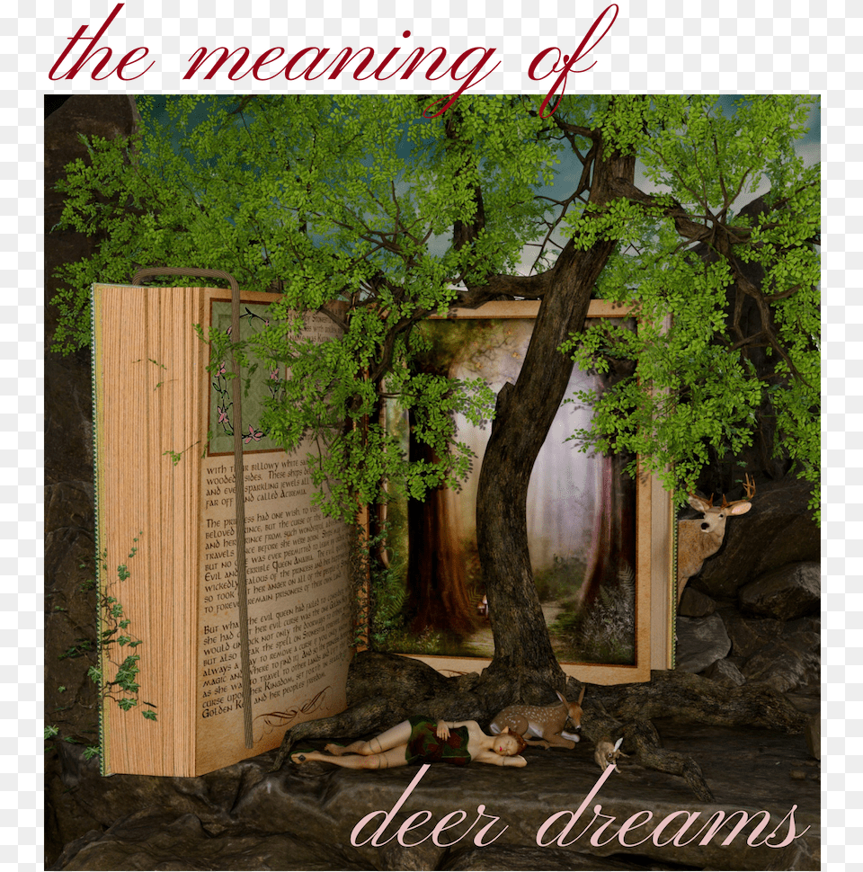 Quotes Reading Books In A Tree, Plant, Herbal, Herbs, Tree Trunk Free Png