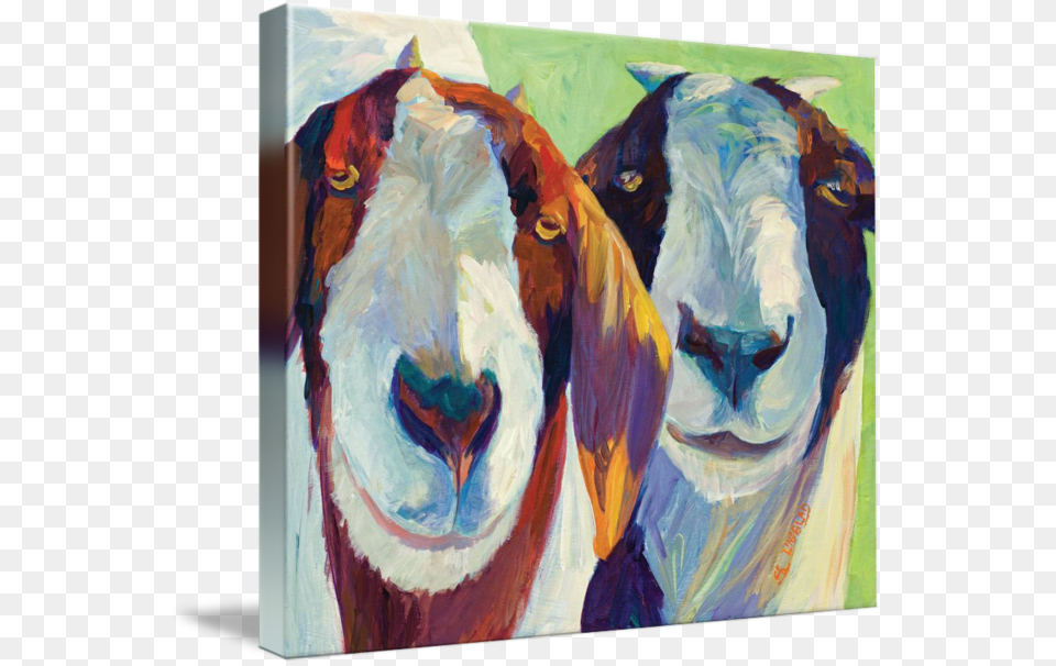 Quothappy Goatsquot By Sandy Lindblad Gallery Wrapped Canvas Art Print 10 X 8 Entitled Happy, Livestock, Painting, Animal, Goat Free Png